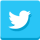 Twitter Share Icon